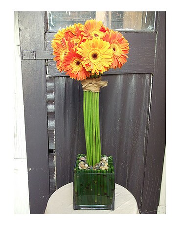 Orange Gerb Natural Stem Topiary