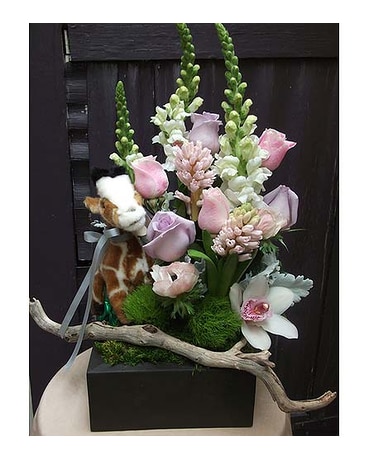 Baby Giraffe Safari Pink