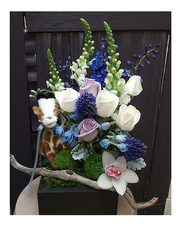Baby Giraffe Safari Blue