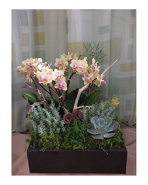 pots for hanging plants H Potter Hanging Planter