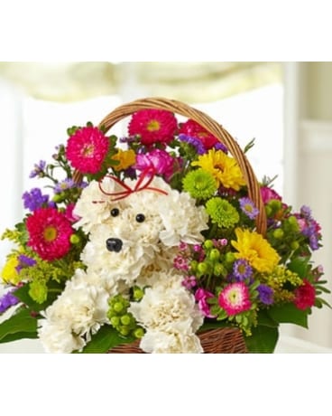 a-DOG-able™ in a Basket