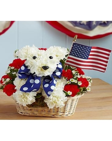 Yankee Doodle Doggie