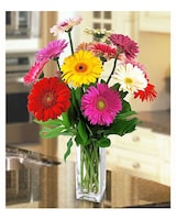 One Dozen size,  inches height and  inches wide.
