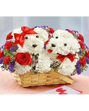 Love Puppies
