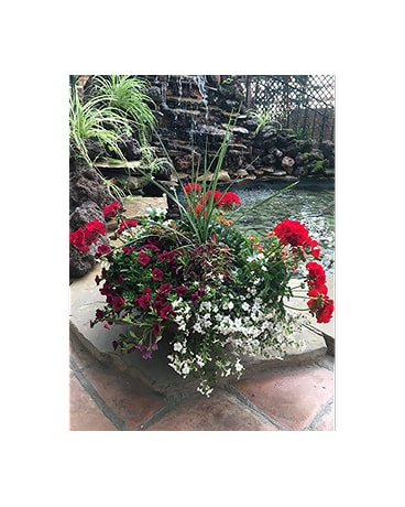 Patio Planters