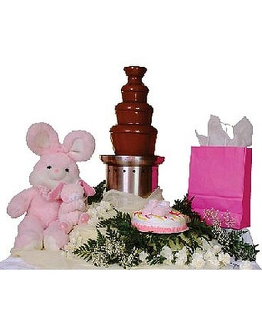 Chocolate Fountain Baby Showers