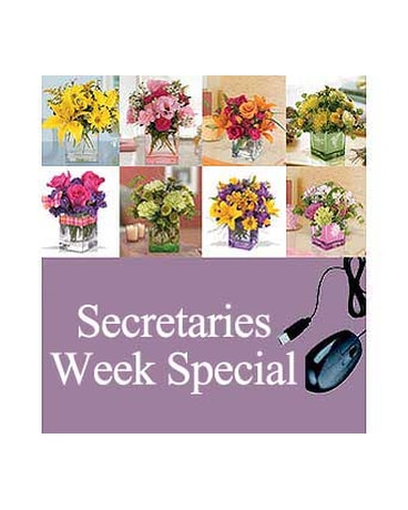 Secretaries Week Special
