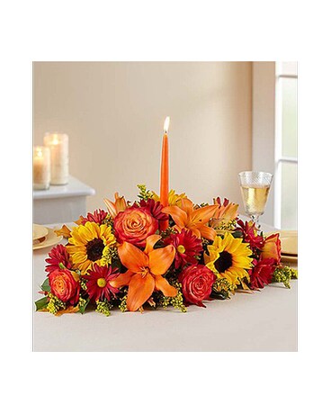 Fields of Europe™ for Fall Centerpiece