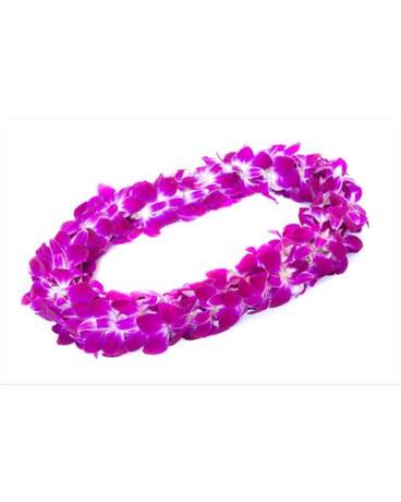 Purple orchid lei