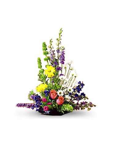 Larkspur and Delphinium Arrangement