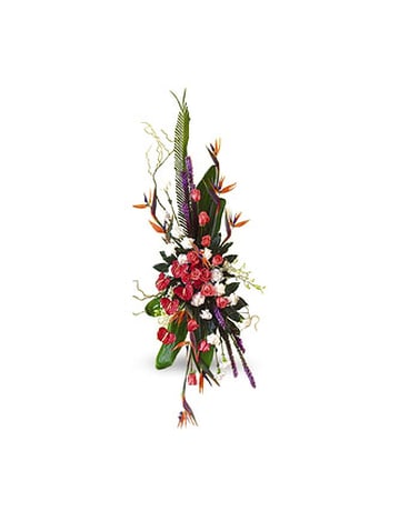 Birds of Paradise Standing Spray
