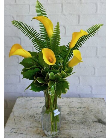 Friendship, Yellow Callas