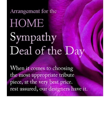 Sympathy 'Deal of the Day' Arrangement for the Hom