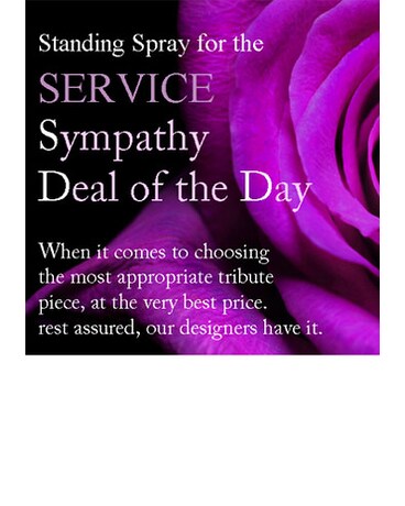 Sympathy 'Deal of the Day' Standing Spray