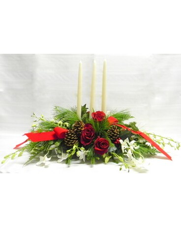 Christmas Elegance