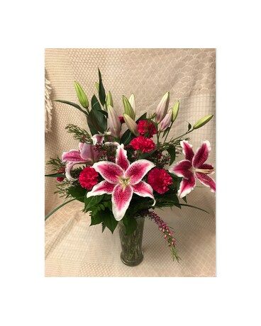 Stunning Stargazers