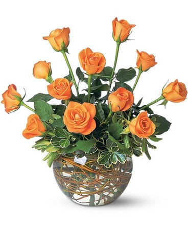 Orange Roses