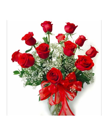 Timeless Dozen Long Stem Red Roses