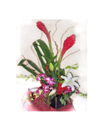 Tropical Ginger