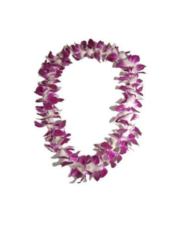 Single Orchid Lei