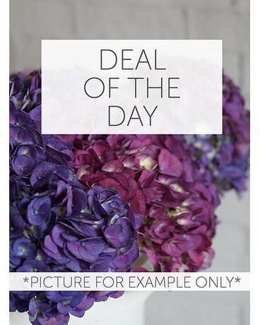 RUSH DELIVERY: Deal of the Day