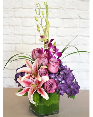 RUSH DELIVERY: Purples in Paris