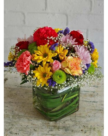 RUSH DELIVERY: Prettiest