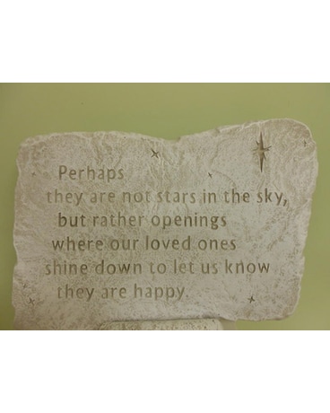 Perhaps they are not stars in the sky $55.00