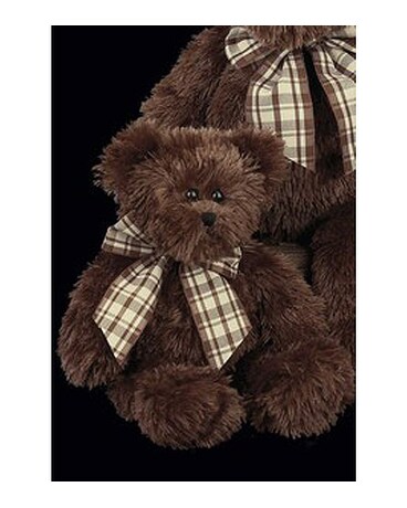 Baby Bosco
$11.95