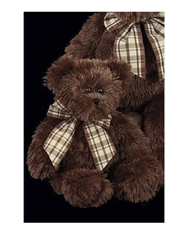 Baby Bosco
$11.95