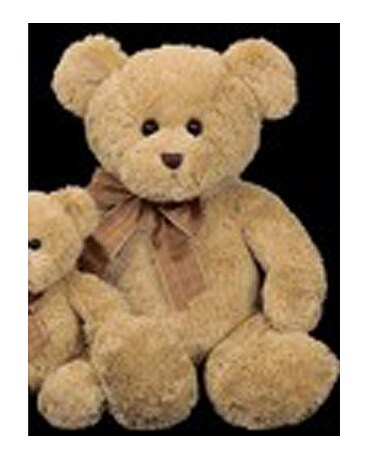 Bensen
$21.95