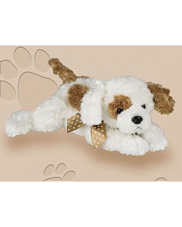 Scout
$20.95