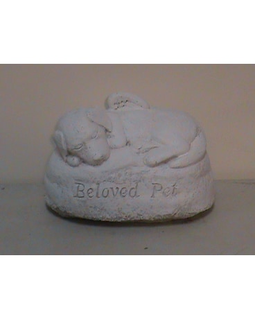 My Beloved Dog