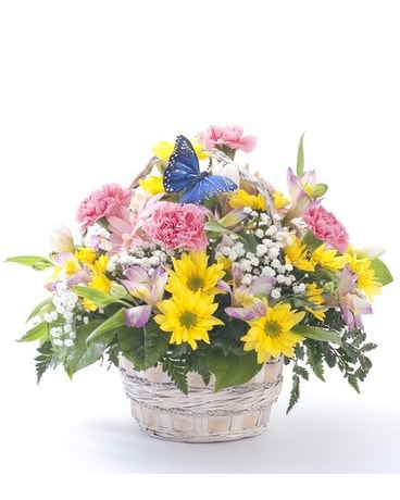 Pretty Flowers, Birthday Arrangment