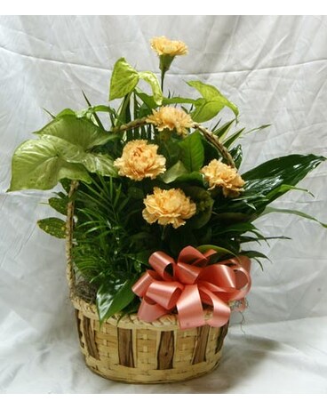 Basket Planter