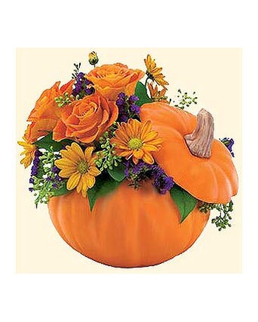 Pumpkin Patch
