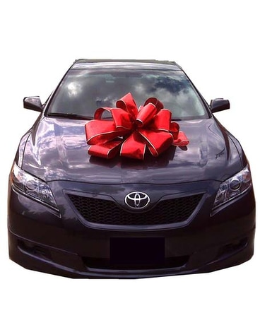 Car Bow