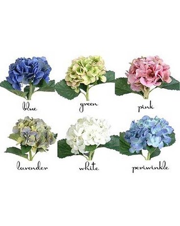 Fresh Cut Hydrangeas