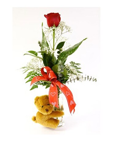 Pam's Exclusive Snuggly Bear Rose