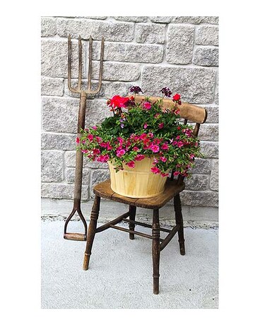 Rustic Bushel Garden In Kingston On Pam S Flower Garden
