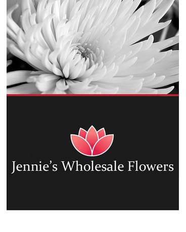 Tampa Wholesale Flowers, Fuji Mums (Deli Stars) - Jennie's Flowers