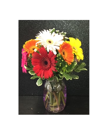 Gerbera Delight