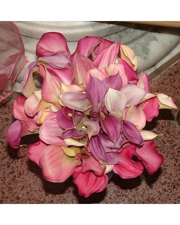 Mixed calla lilies