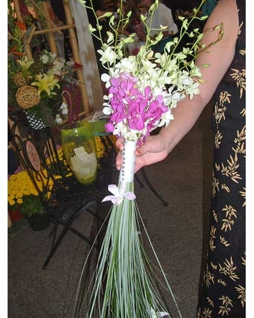 Orchid Beach wedding