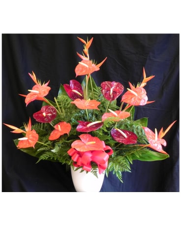 MTF618 Tropical Fan Style Arrangement