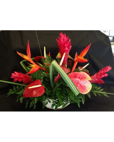 MTF1224 Tropical Arrangement