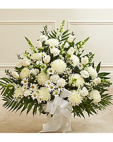 Traditional White