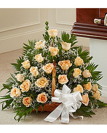 Orange & White