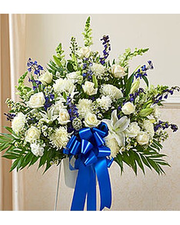 Traditional Blue & White