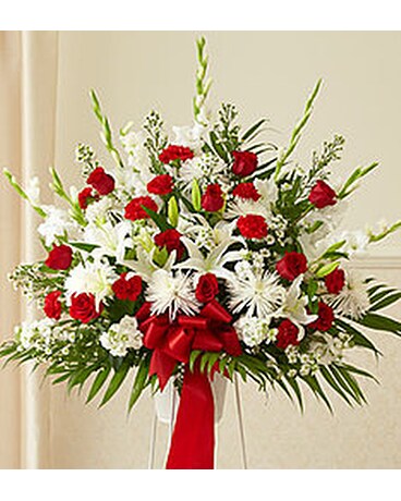 Traditional Red & White